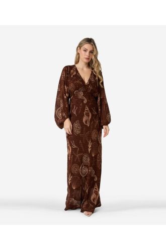 Ibana_Danoli_Shell__Shell_Marr_n_Hilnetta_s_3