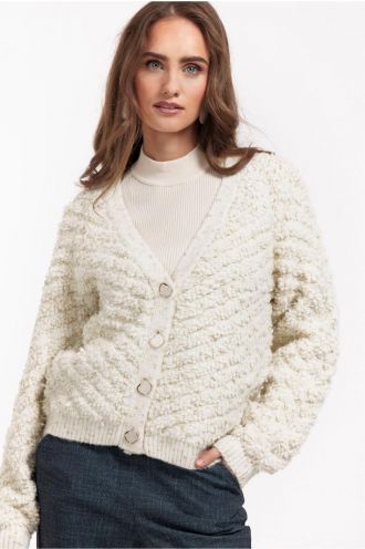 Studio_Anneloes_Iris_chunky_glitter_cardigan_kit_Hilnetta_s_3