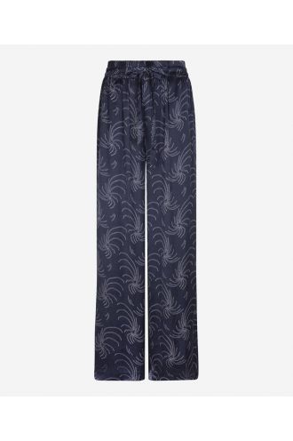 Ibana_Pae_Dotted_Palm_Hilnetta_s